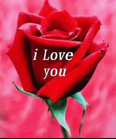 I Love You I Love You So Much Meme