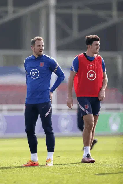 Harry Maguire Meme