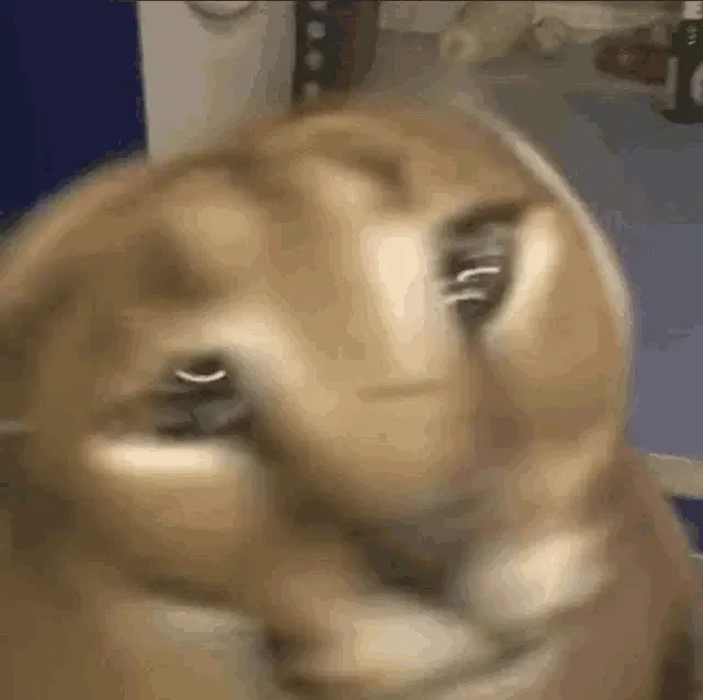 Um I Um Oo Wow Um Ok Hmm Meme