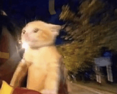 Omw Meme