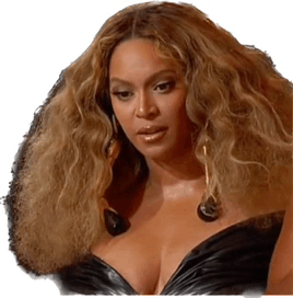 Beyonce Meme