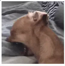 Ahh Scream Meme