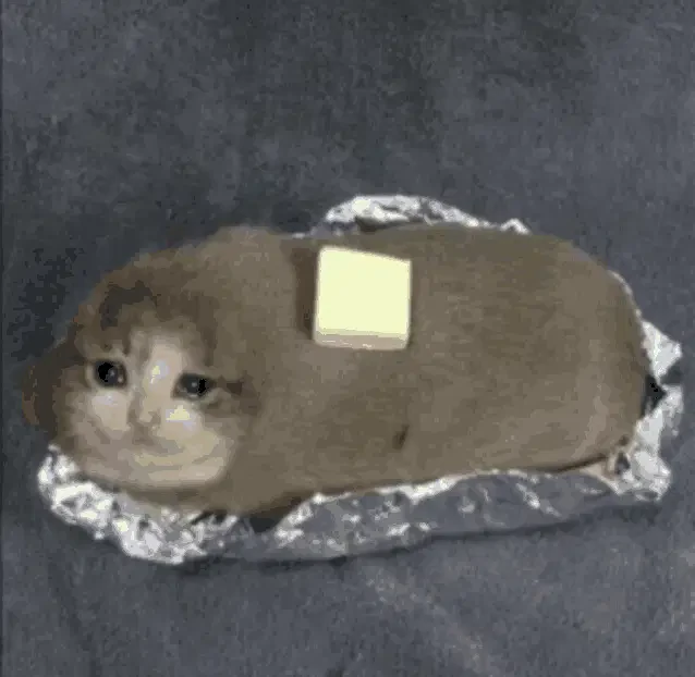 Butter Katze Meme