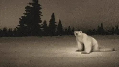 медведь 2026 Meme