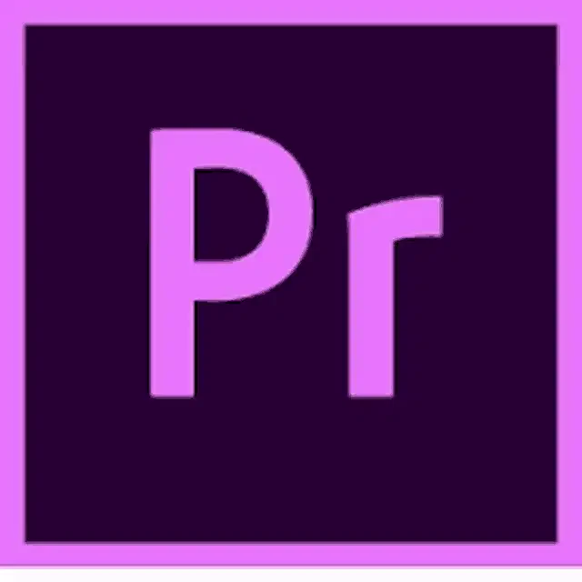 Pp Pro Meme