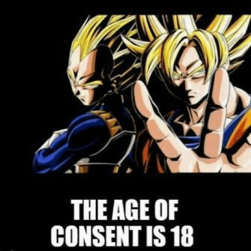 The Age Of Consent Is 18 Meme