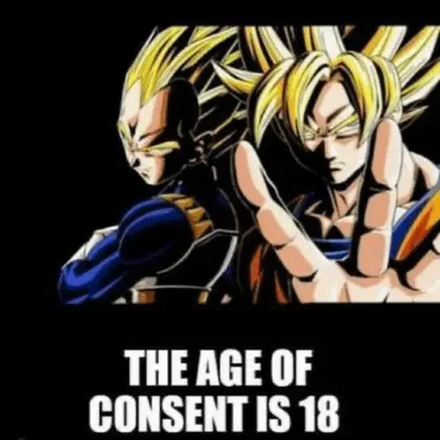 The Age Of Consent Is 18 Meme