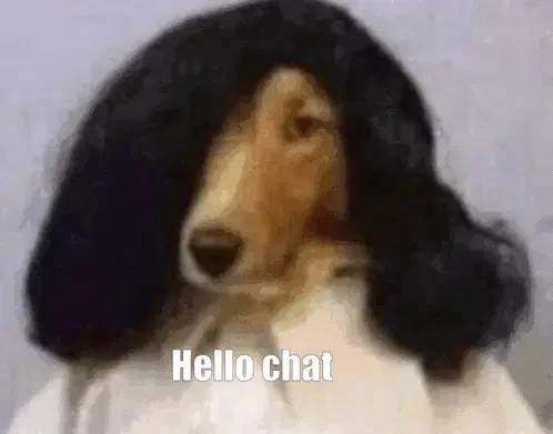 Hello Hello Chat Meme