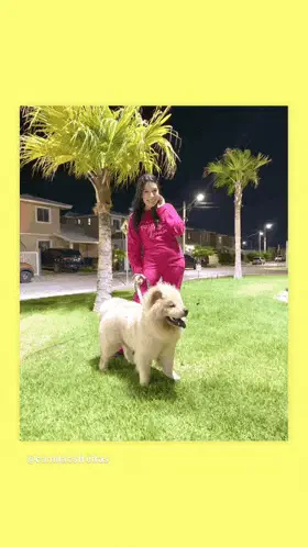 Feliz Dia Do Amigo Meme