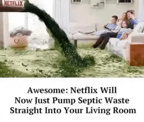 Netflix Meme