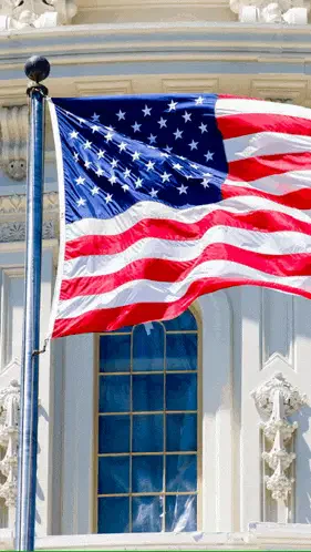 America America Flag Meme