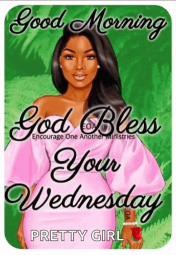 Wednesday Good Morning Wednesday Meme