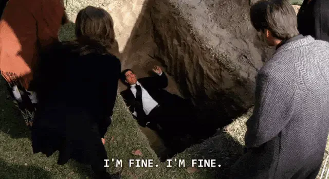 Im Fine Fine Meme