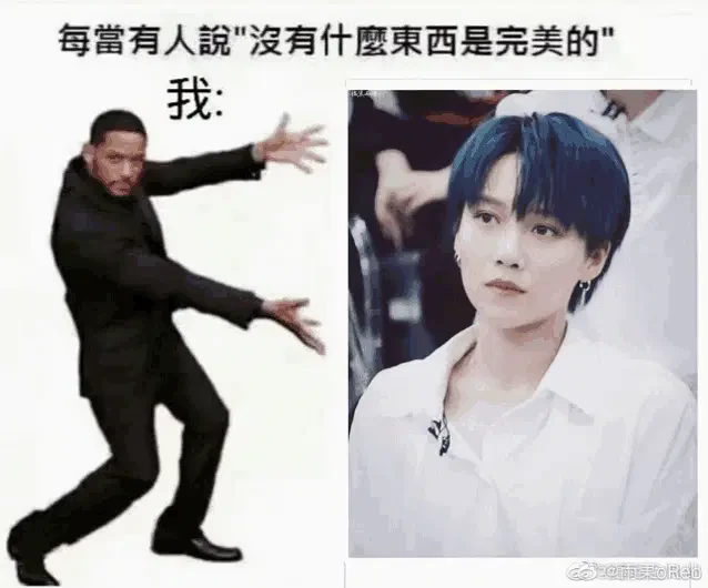 Tukx劉雨昕liuyuxin 完美 Meme