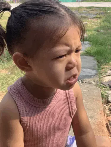 Nene Meme