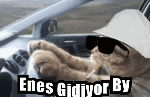 Enes Enesgidiyorby Meme