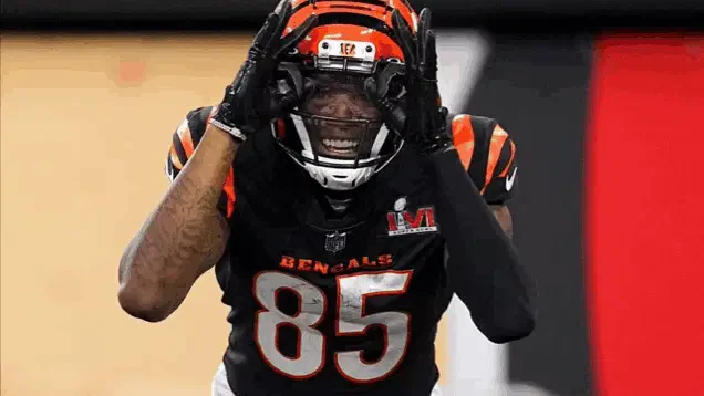 Tee Higgins Meme