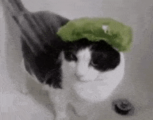 GIF eropgeluede vum PinkPeony