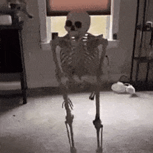 GIF