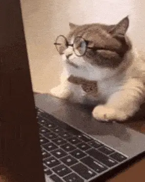 Smart Cat Working on Laptop with Glasses – work memes meme GIF free download no watermark 2026