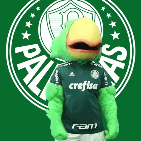 Palmeiras Mascot Gives Thumbs Up