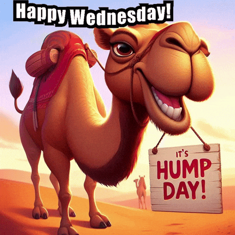 Happy Wednesday! It's Hump Day!