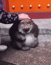 GIF tso los ntawm Grim Reaper