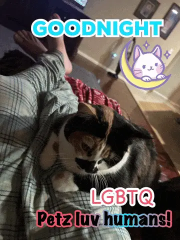 Goodnight Catz: Petz Luv Humans – free GIF download | memes GIF | meme platform
