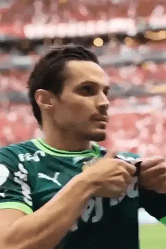Te Amo Palmeiras Palmeirense
