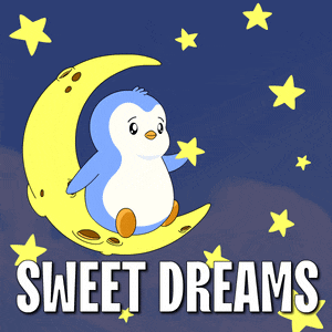 Goodnight Sleep: Sweet Dreams Penguin