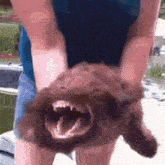 GIF