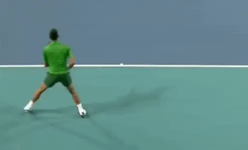 Novak Djokovic Nole Falls on Court
