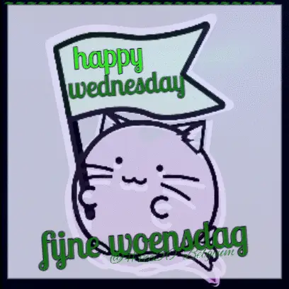 Happy Wednesday Cat with Flag