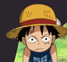 GIF tso los ntawm VN