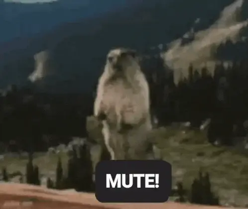 Muted Revolt: Groundhog Meme