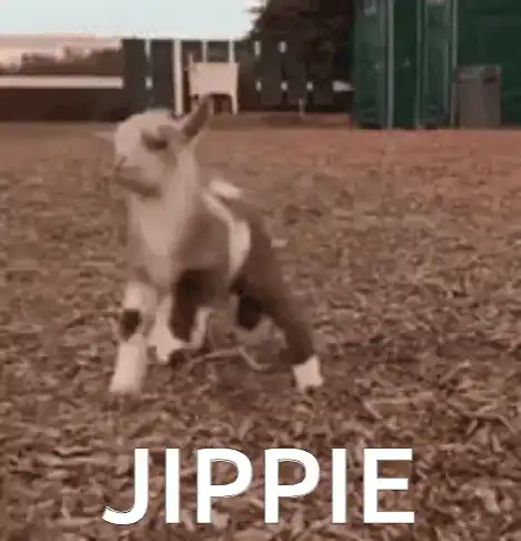Jippie Yippie Baby Goat Fun