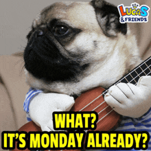 GIF uploaded by Waynez