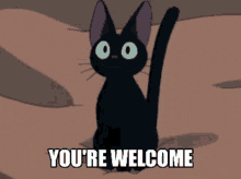 You're Welcome Black Cat