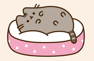 Pusheen the Lazy Cat