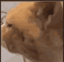 Shaquana பதிவேற்றிய GIF