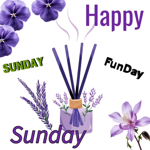 Happy Sunday FunDay Greeting Card