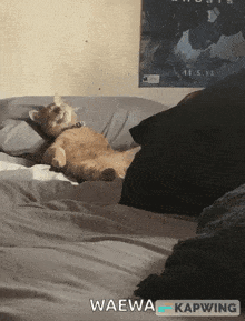GIF gi-upload ni May
