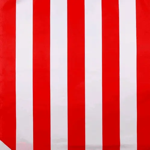 Athletic Bilbao: Copa del Rey 2024 Champions!