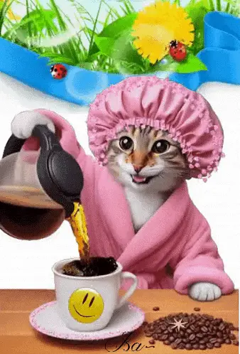 Cat Pours Morning Coffee – free GIF download