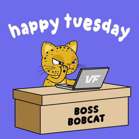 Boss Bobcat's Happy Tuesday Workday