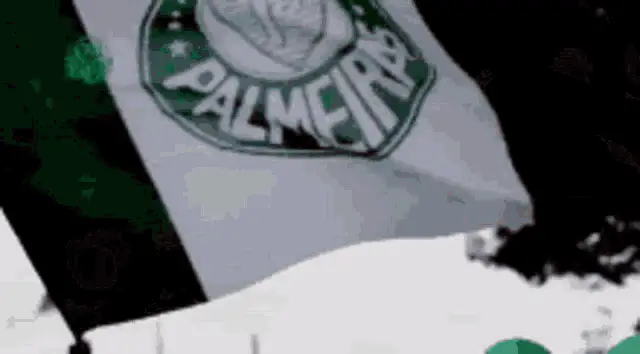 Palmeiras Fans Cheering