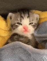 GIF uploaded by Sky