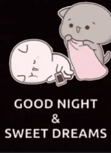 Good Night Cat & Sweet Dreams – free memes GIF download | meme platform