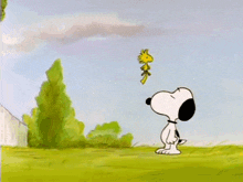 GIF nahrál Chris