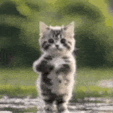 GIF uploaded by Karlay